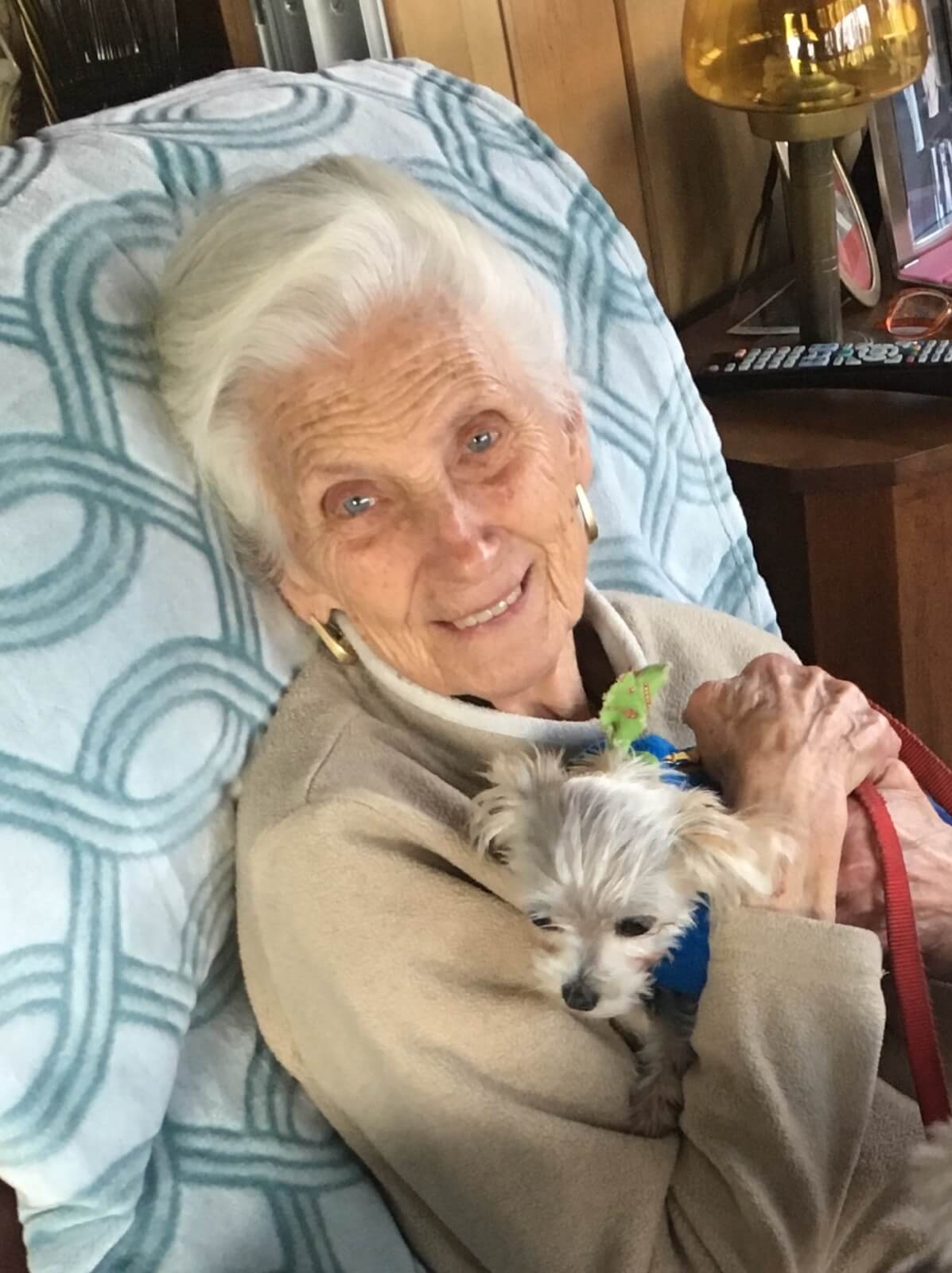 danny and ron's dog rescue